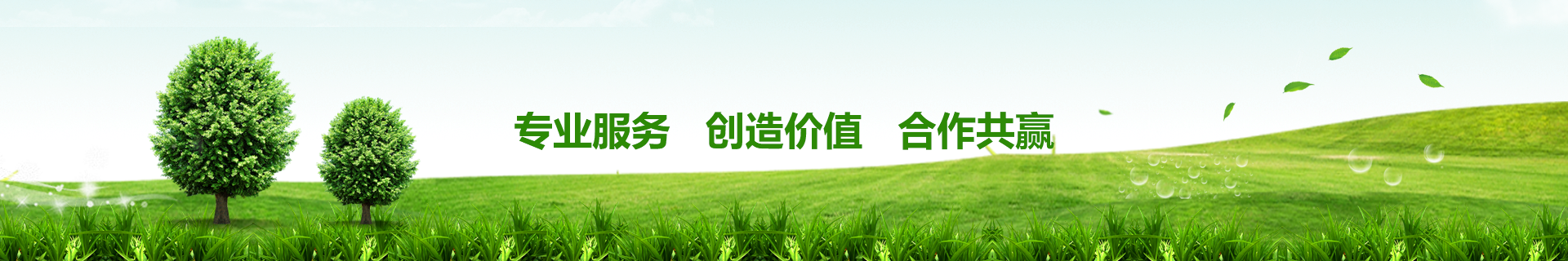 工業臭氧發生器廠家